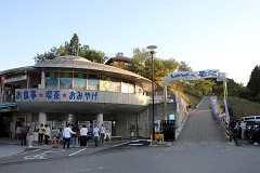 ̉wugH哃v